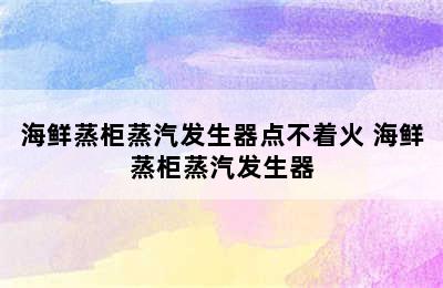 海鲜蒸柜蒸汽发生器点不着火 海鲜蒸柜蒸汽发生器